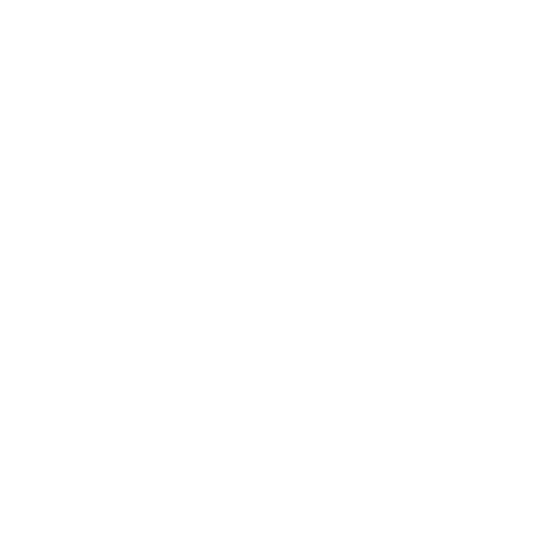 Streamlitr